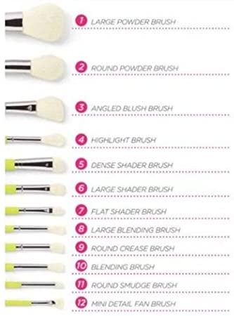 BH Cosmetics Colour Festival 12 Piece Brush Set - Image 2